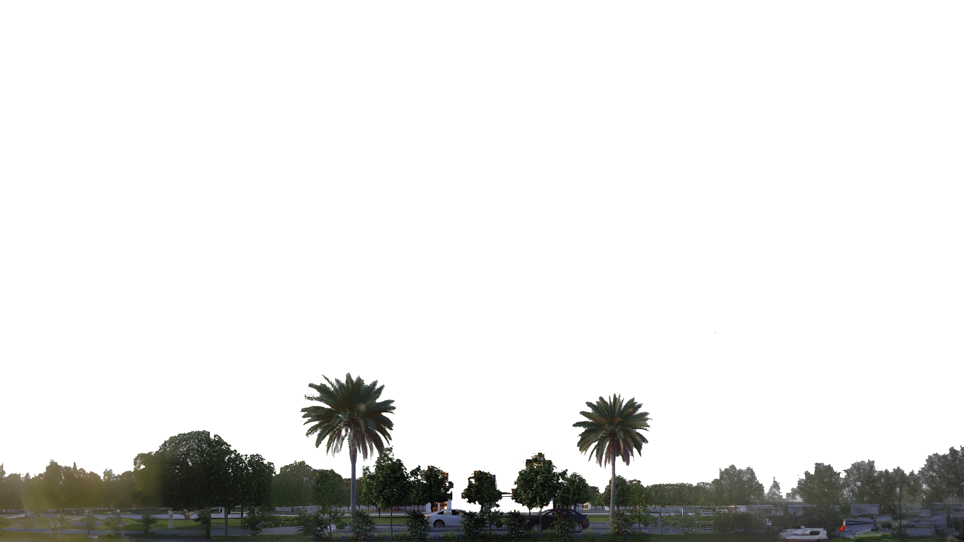 trees